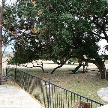 This branch didn’t even reach the ground when our men first started coming to Concan.